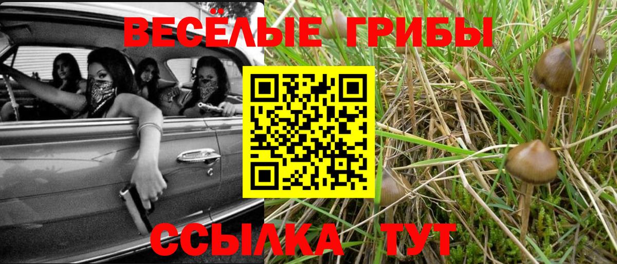 Барабинск  Галлюциногенные грибы Psilocybe  Вход с VPN 