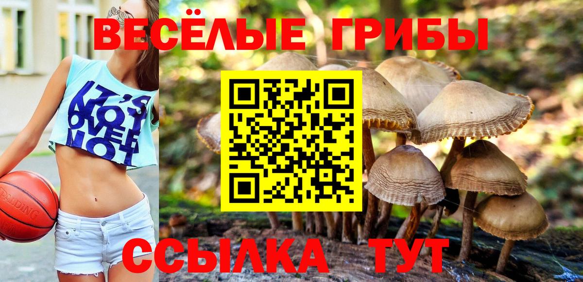 Галлюциногенные грибы Cubensis Барабинск